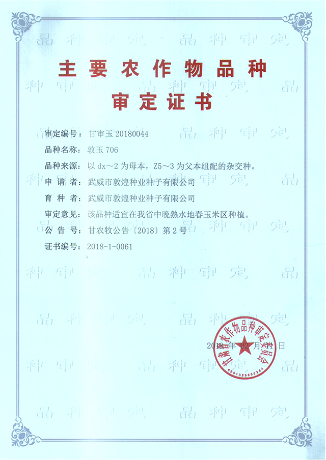 敦玉706審定證書(shū)